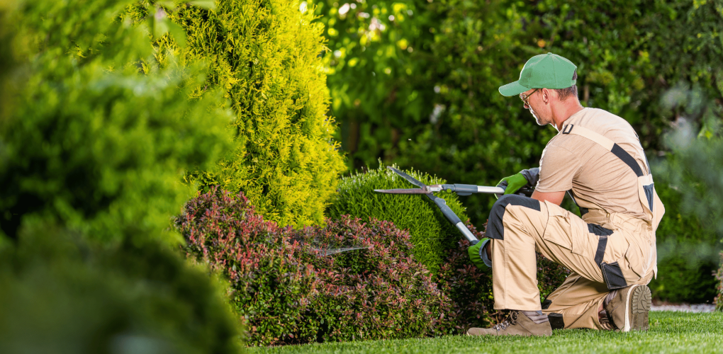 Comment entretenir votre jardin après l'intervention d'un paysagiste professionnel ?