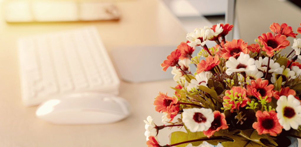 5 Plantes d'intérieur anti-stress idéales pour votre bureau sur Pornic