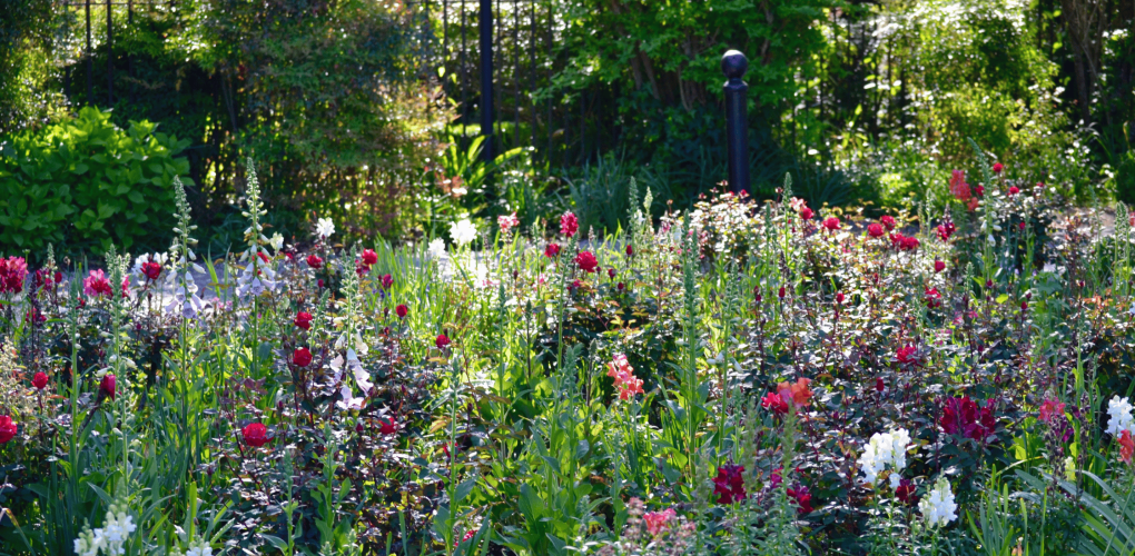 Aménager un parterre de fleurs : quelles fleurs choisir à Saint-Nazaire?